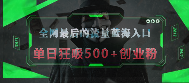 全网最后的流量蓝海入口，半小时引流50+创业粉，单日狂吸500+创业粉-玖玖资源网