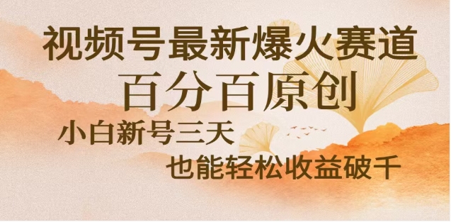 视频号独家玩法，老年养生赛道，无脑搬运爆款视频，日入2000+-玖玖资源网