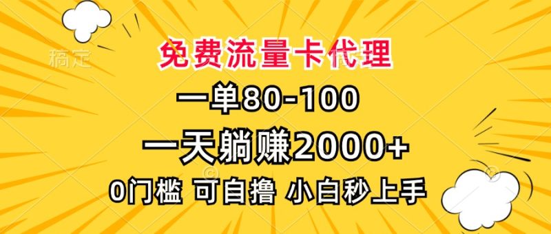 一单80，免费流量卡代理，0门槛，小白也能轻松上手，一天躺赚2000+-玖玖资源网