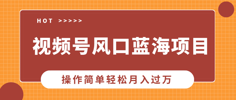 视频号风口蓝海项目，中老年人的流量密码，操作简单轻松月入过万-玖玖资源网