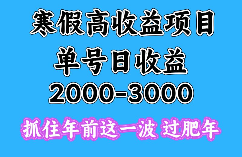 寒假期间一天收益2000-3000+，抓住年前这一波-玖玖资源网