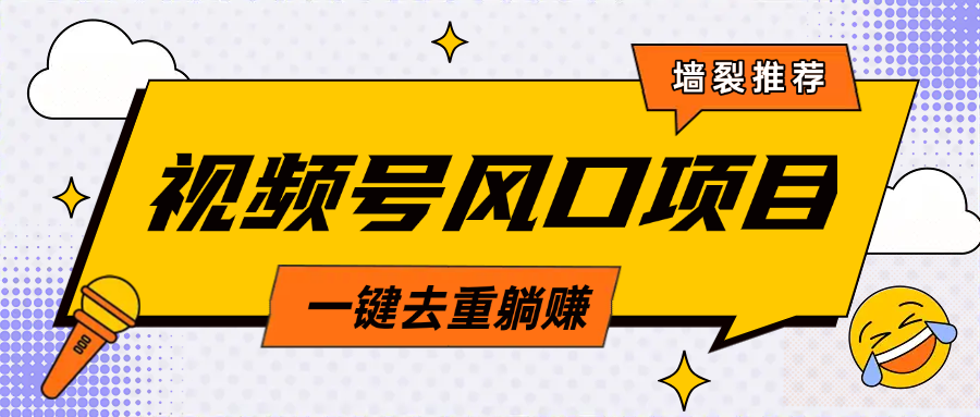 视频号风口蓝海项目，中老年人的流量密码，简单无脑，一键去重，轻松月入过万-玖玖资源网
