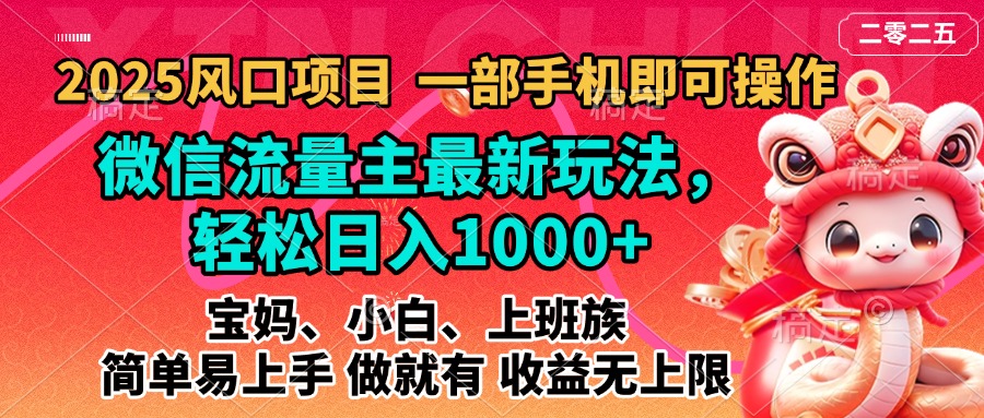 2025蓝海风口项目，微信流量主最新玩法，轻松日入1000+，简单易上手，做就有 收益无上限-玖玖资源网