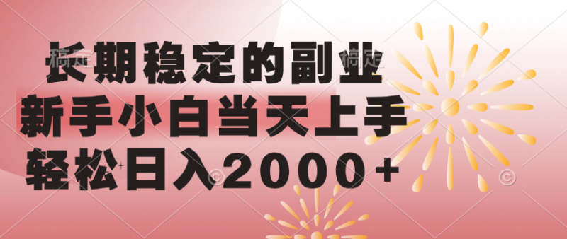 长期稳定的副业，轻松日入2000+新手小白当天上手，-玖玖资源网