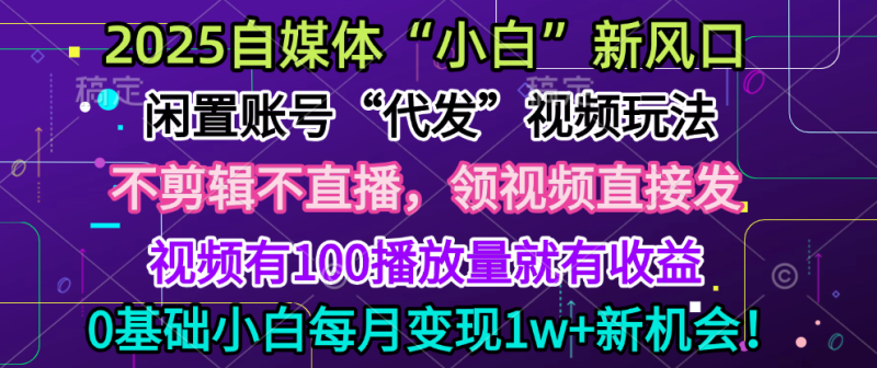 2025每月躺赚5w+新机会，闲置视频账号一键代发玩法，0粉不实名不剪辑，领了视频直接发，0基础小白也能日入300+-玖玖资源网