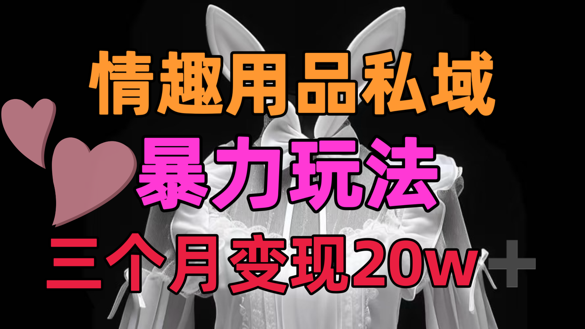 情趣用品私域，25年最新暴力玩法，三个月变现20w➕-玖玖资源网
