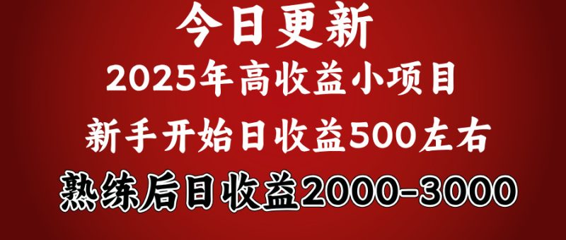 2025开年好项目，新手日收益500+ 熟练掌握后，日收益平均2000多-玖玖资源网
