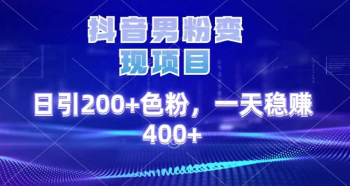 2025最新男粉项目 日引200 轻松月入2w+-玖玖资源网