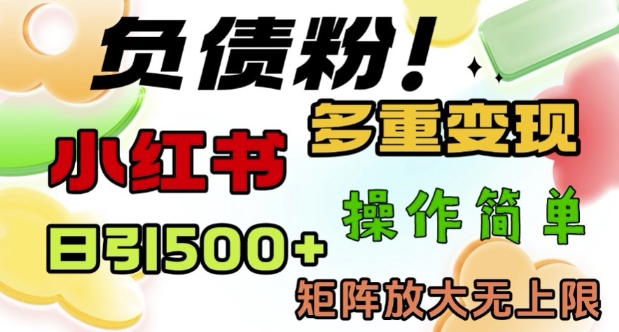 2月最新小红书日引500+负债粉，多重变现轻松过W，矩阵放大无上限-玖玖资源网