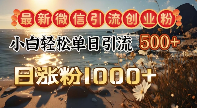 最新微信引流创业粉，小白单日轻松引流500+，日涨粉1000+-玖玖资源网