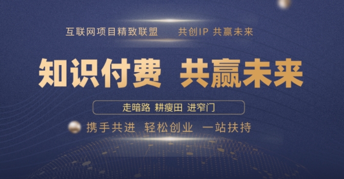 别人苦寻无果，为何他们靠知识付费卖项目 2025 年轻松年入100个?【揭秘】-玖玖资源网