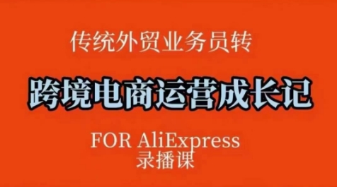 跨境电商速卖通运营课，​运营方法论+后台实操，逻辑清晰-玖玖资源网