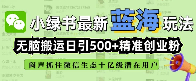 小绿书无脑搬运引流，全自动日引500精准创业粉，微信生态内又一个闷声发财的机会-玖玖资源网