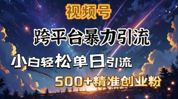 跨平台暴力引流，私域完美闭环，日引500+精准创业粉-玖玖资源网