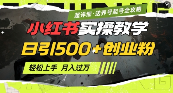 2月小红书最新日引500+创业粉实操教学【超详细】小白轻松上手，月入1W+，附小红书养号起号SOP-玖玖资源网