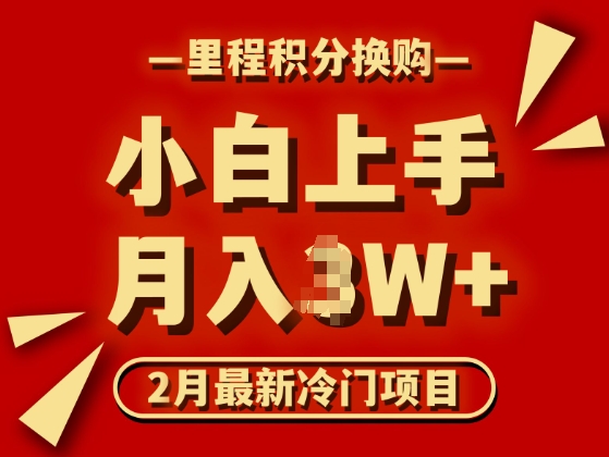 2月最新冷门项目，里程积分兑换机票项目，月入过W-玖玖资源网