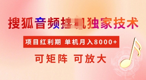 全网首发搜狐音频挂JI独家技术，项目红利期，可矩阵可放大，稳定月入8k【揭秘】-玖玖资源网