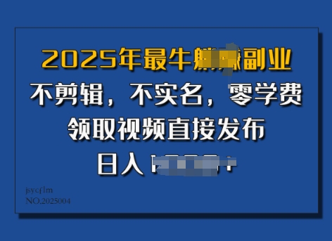 ​2025年最牛副业，不剪辑，不实名，零学费，零粉可做，领取视频直接发布，有播放就有收益-玖玖资源网