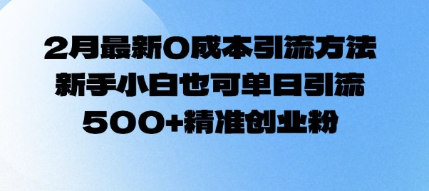 2月最新0成本引流方法，新手小白也可单日引流500+精准创业粉-玖玖资源网