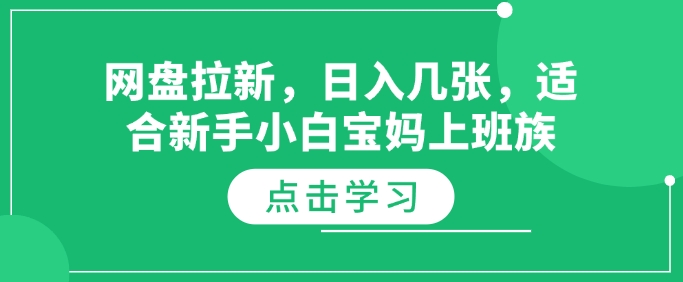 网盘拉新，日入几张，适合新手小白宝妈上班族-玖玖资源网