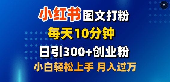 2月小红书图文打粉，每天10分钟，日引300+创业粉，小白轻松月入过W-玖玖资源网