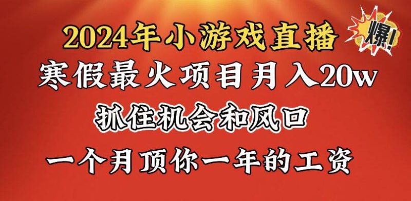2024年寒假爆火项目，小游戏直播月入20w+，学会了之后你将翻身-玖玖资源网