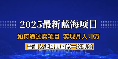 2025蓝海项目，普通人如何通过卖项目，实现月入过W，全过程【揭秘】-玖玖资源网