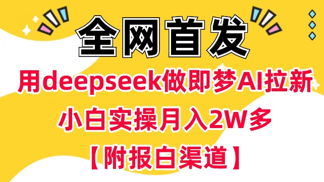 用deepseek做即梦Ai拉新 小白实操月入过W+【附报白渠道】-玖玖资源网