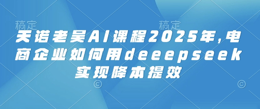 天诺老吴AI课程2025年，电商企业如何用deeepseek实现降本提效-玖玖资源网