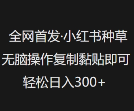 全网首发，小红书种草无脑操作，复制黏贴即可，轻松日入3张-玖玖资源网