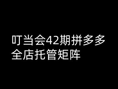 叮当会拼多多打爆班原创高阶技术第42期，拼多多全店托管矩阵-玖玖资源网