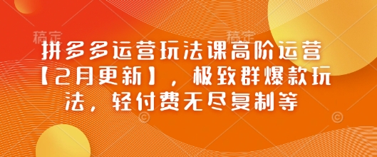 拼多多运营玩法课高阶运营【2月更新】，极致群爆款玩法，轻付费无尽复制等-玖玖资源网