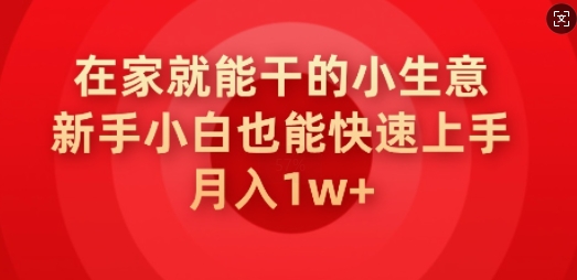 在家就能干的小生意，新手小白也能快速上手，月入1w-玖玖资源网