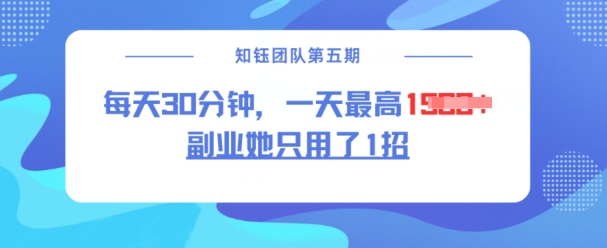 副业她只用了1招，每天30分钟，无脑二创，一天最高1.5k-玖玖资源网