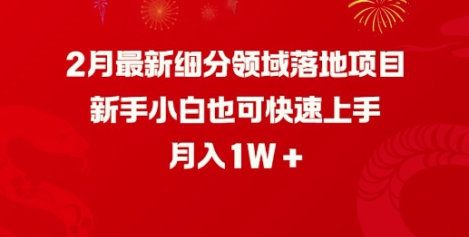 2月最新细分领域落地项目，新手小白也可快速上手，月入1W-玖玖资源网