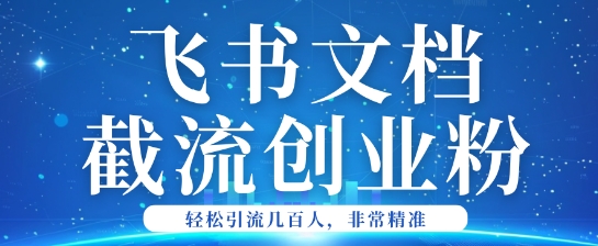 利用飞书文档截流创业粉轻松引流200+-玖玖资源网