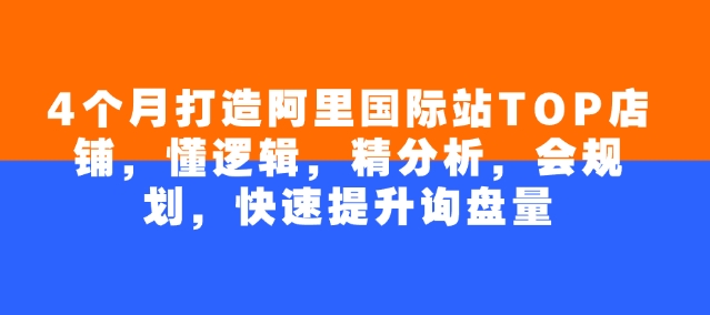 4个月打造阿里国际站TOP店铺，懂逻辑，精分析，会规划，快速提升询盘量-玖玖资源网