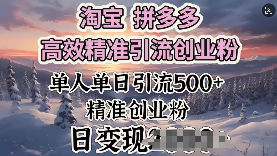 淘宝拼多多高效精准引流创业粉，单人单日引流500+创业粉，日变现多张-玖玖资源网