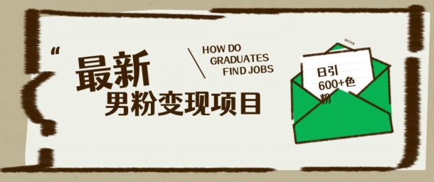 最新男粉变现项目，日引100+S粉，流量爆炸，小白轻松上手-玖玖资源网