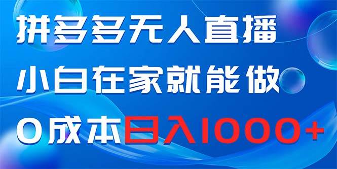 拼多多无人直播，小白在家就能做，0成本日入1000+-玖玖资源网