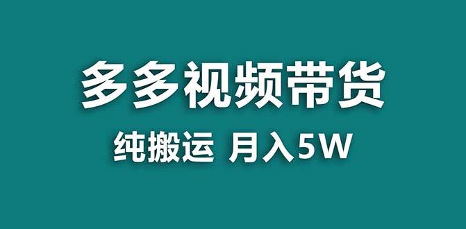 【蓝海项目】拼多多视频带货 纯搬运一个月搞了5w佣金，小白也能操作 送工具-玖玖资源网