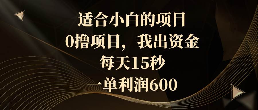 适合小白的项目，0撸项目，我出资金，每天15秒，一单利润600-玖玖资源网