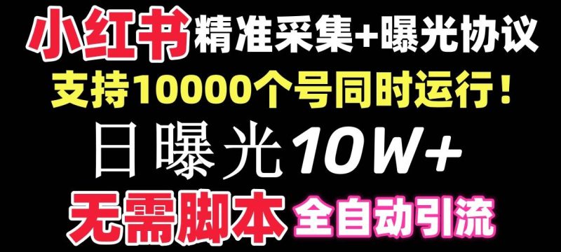 【价值10万！】小红书全自动采集+引流协议一体版！无需手机，支持10000-玖玖资源网