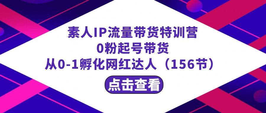 繁星·计划素人IP流量带货特训营：0粉起号带货 从0-1孵化网红达人（156节）-玖玖资源网