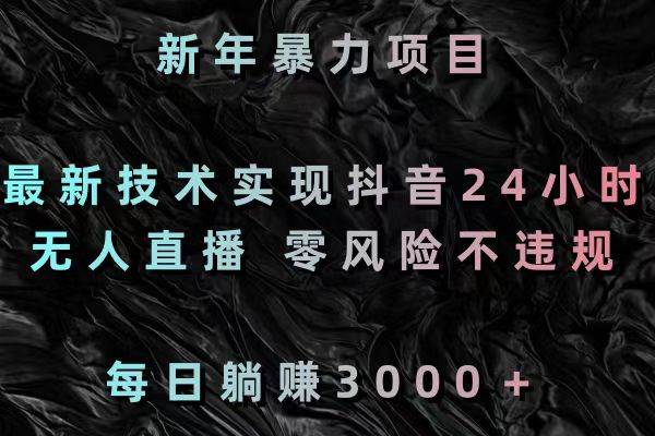 新年暴力项目，最新技术实现抖音24小时无人直播 零风险不违规 每日躺赚3000-玖玖资源网