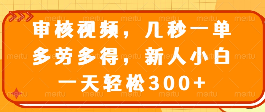 审核视频项目，几秒一单，多劳多得，新人小白一天轻松300+-玖玖资源网