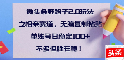 全网首发微头条野路子2.0玩法之相亲赛道，无脑搬砖复制粘贴，单账号日稳定300+保姆级教程-玖玖资源网