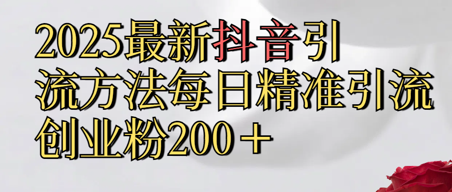 2025最新,抖音引流,方法每日精准引流创业粉300＋-玖玖资源网