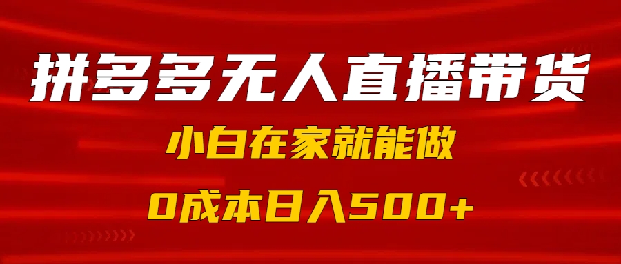 拼多多无人直播带货，小白在家就能做，0成本日入500+-玖玖资源网
