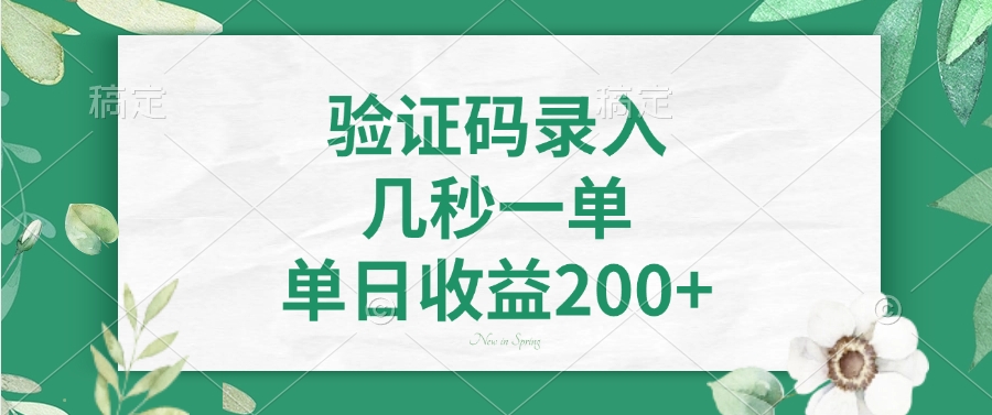 验证码录入，几秒一单，单日收益200+-玖玖资源网